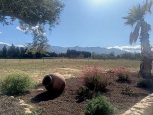 Réservez votre salle de réception dans les Pyrénées Orientales avec vue sur les Albères